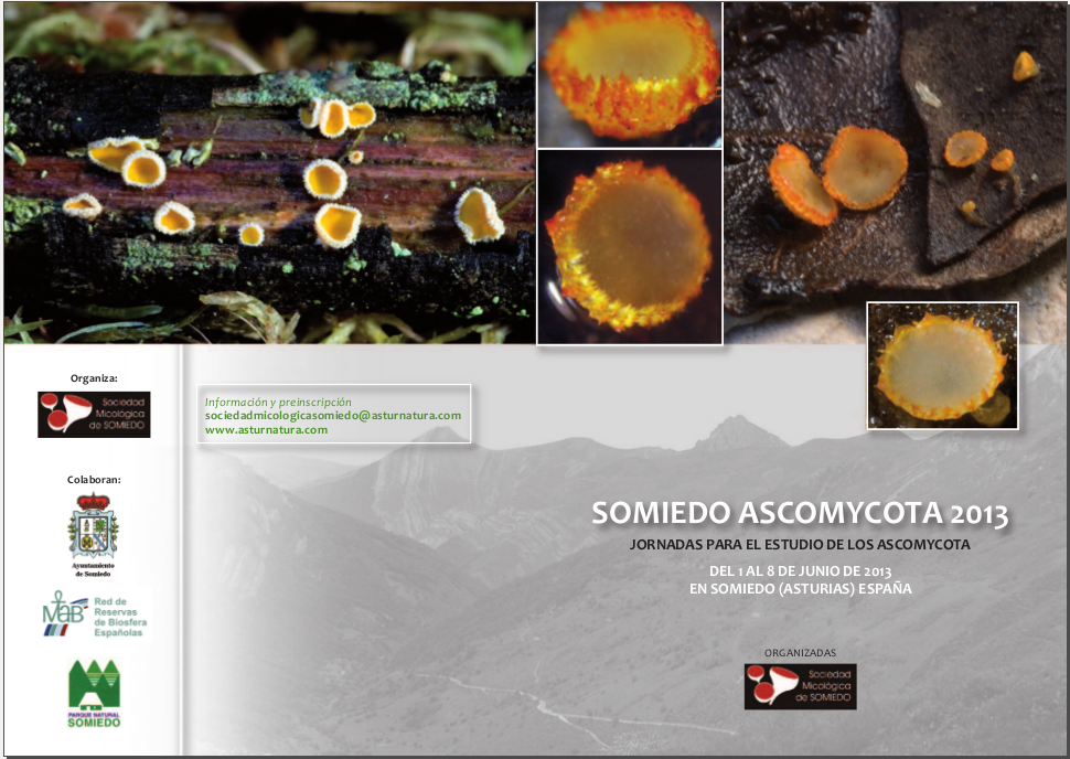 Somiedo Ascomycota 2013